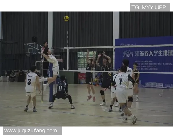 广州排球队的奋斗与荣耀：一段排球精神的真实纪实之旅